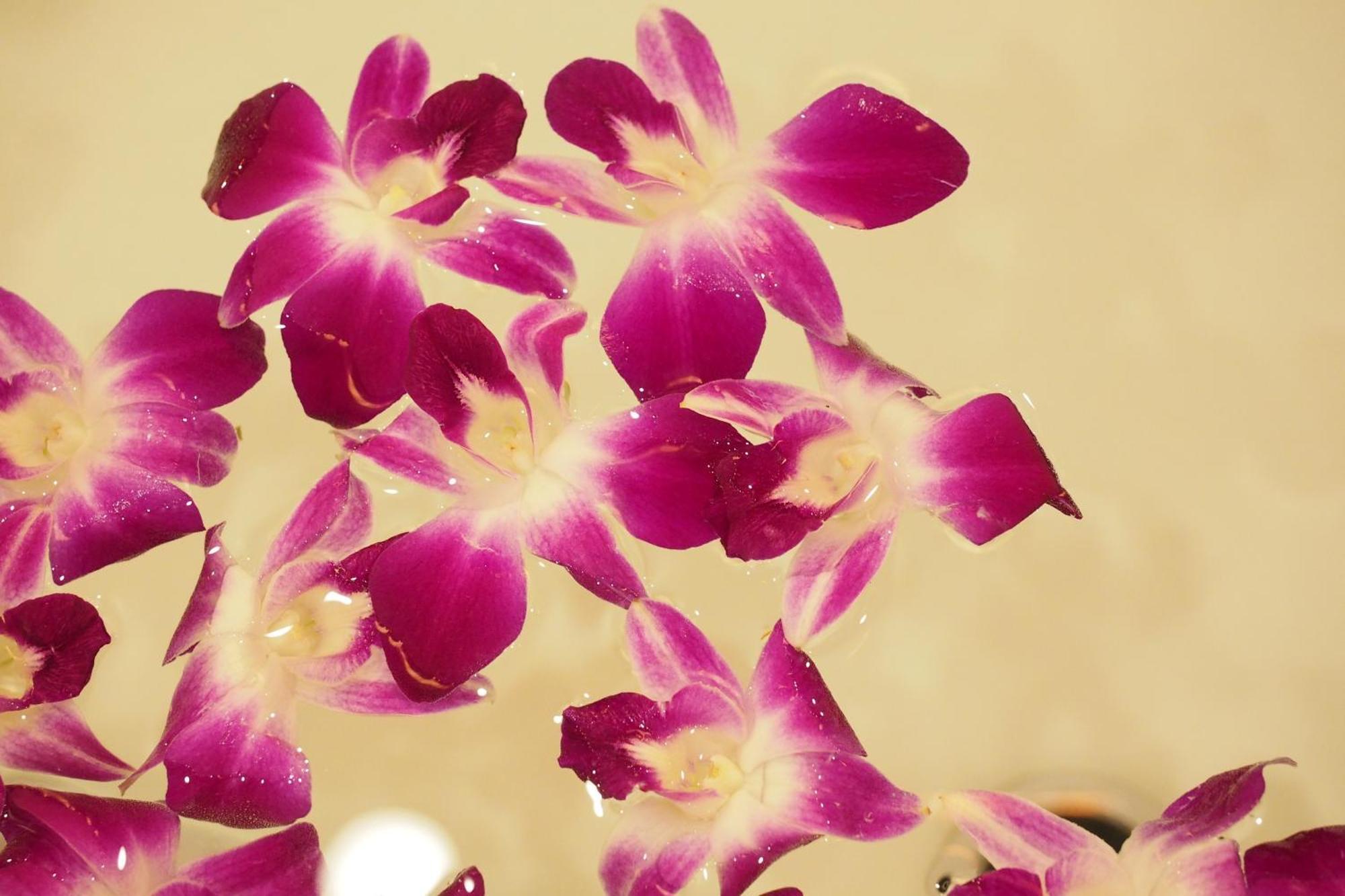 Hotel Balian Resort Higashi Shinjuku (Adults Only) Tokyo Luaran gambar